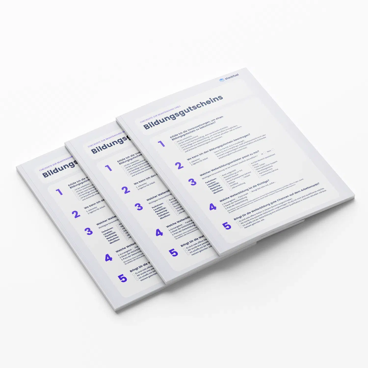 Professional brochure layout on white, featuring clear, structured columns with bullet points and blue accents.