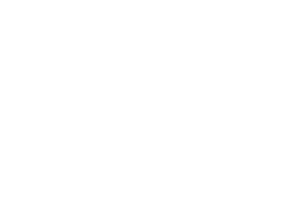 DB logo in bold black sans-serif font within a white rectangular frame, symbolizing professionalism.