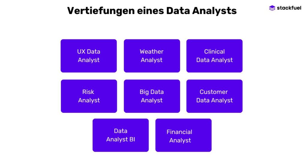 Infografik in Blogartikel: Vertiefungsmöglichkeiten eines Data Analysts